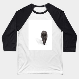 Black Wolf in winter Baseball T-Shirt